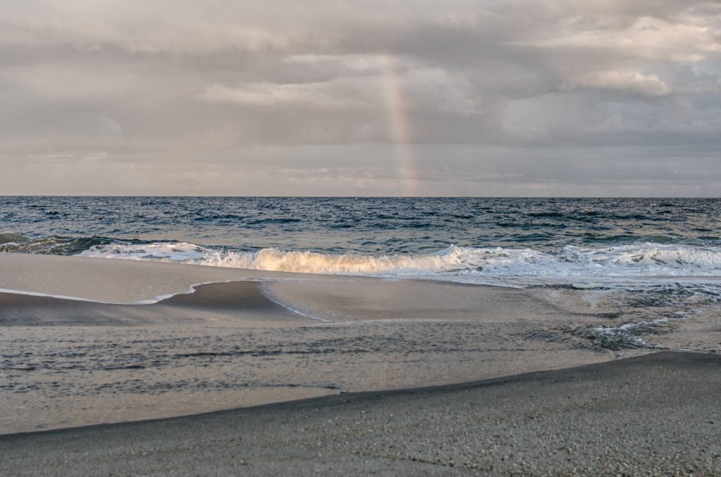 Rainbow Surf