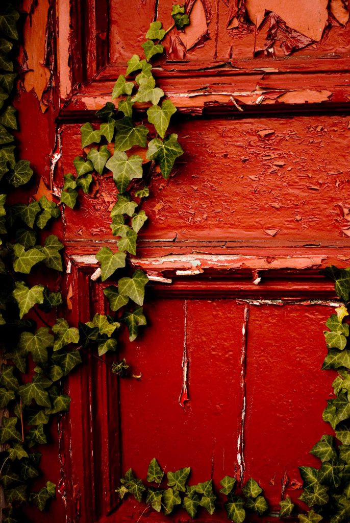 Red Door